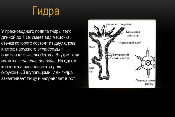 Кракен зеркало рабочее на сегодня