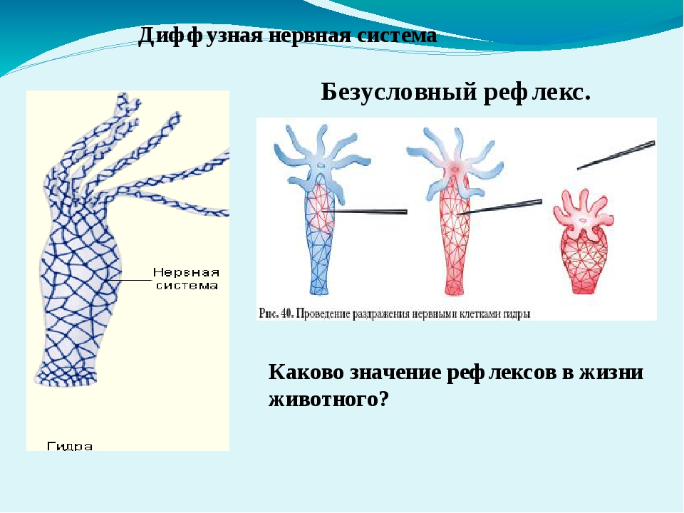 Кракен ссылка на рабочее зеркало