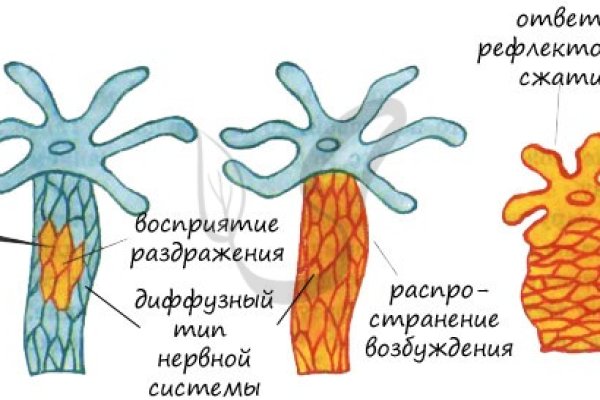 Кракен сайт работает