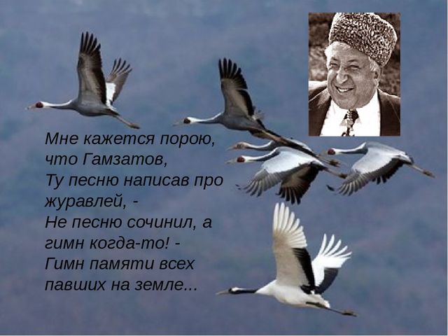Дарк нет вход